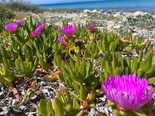 Spiaggia Cann'e Sisa