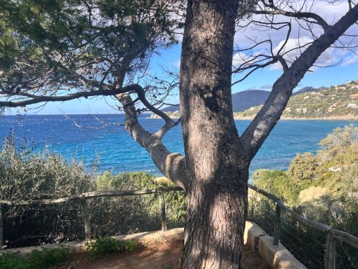 Vista mare